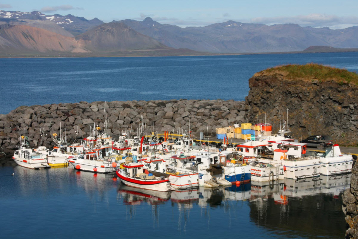 The Harbor at Arnarstapi in Snæfellsnes Peninsula in West Iceland