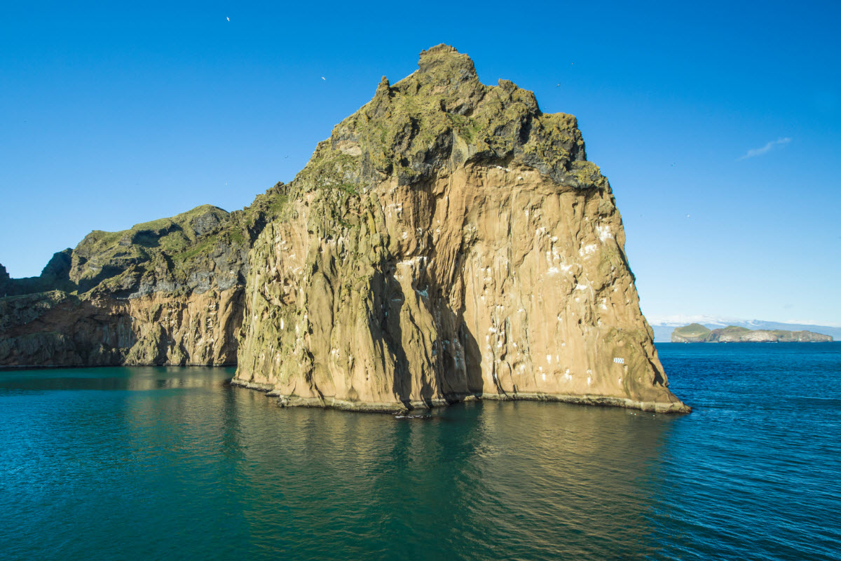 Thousands of seabirds nest in the rocks around Vestmannaeyjar Island