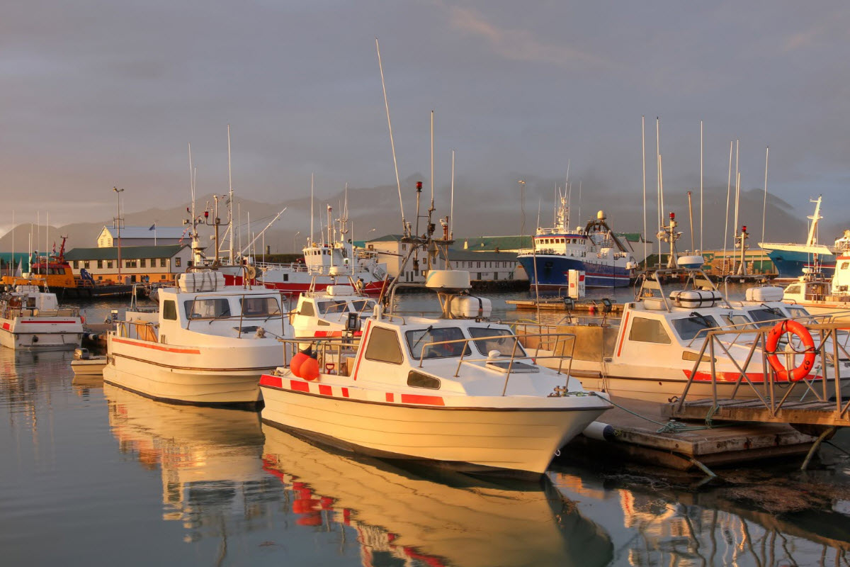 The Harbor in Höfn Iceland