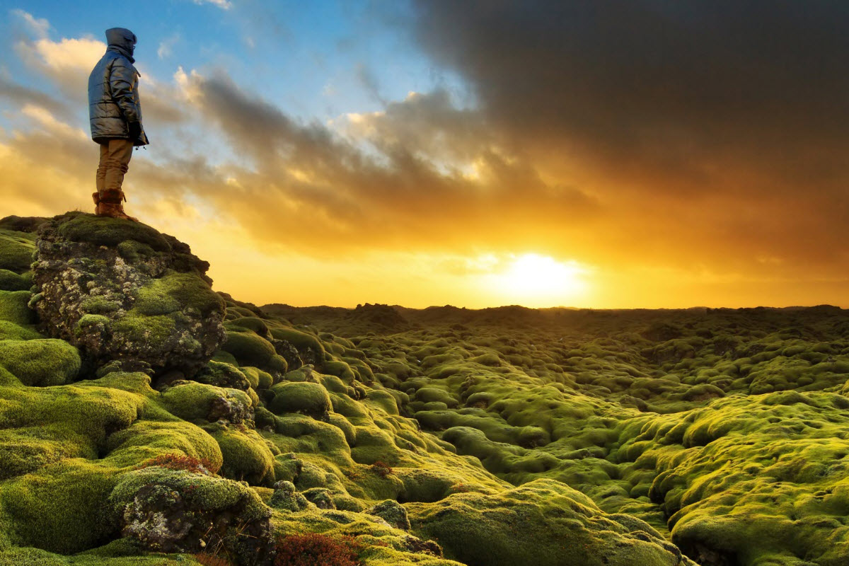 Eldhraun lava field in South Iceland