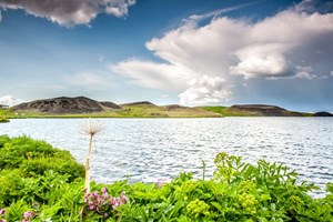 Lake Mývatn Small Group from Akureyri Port tour in Iceland