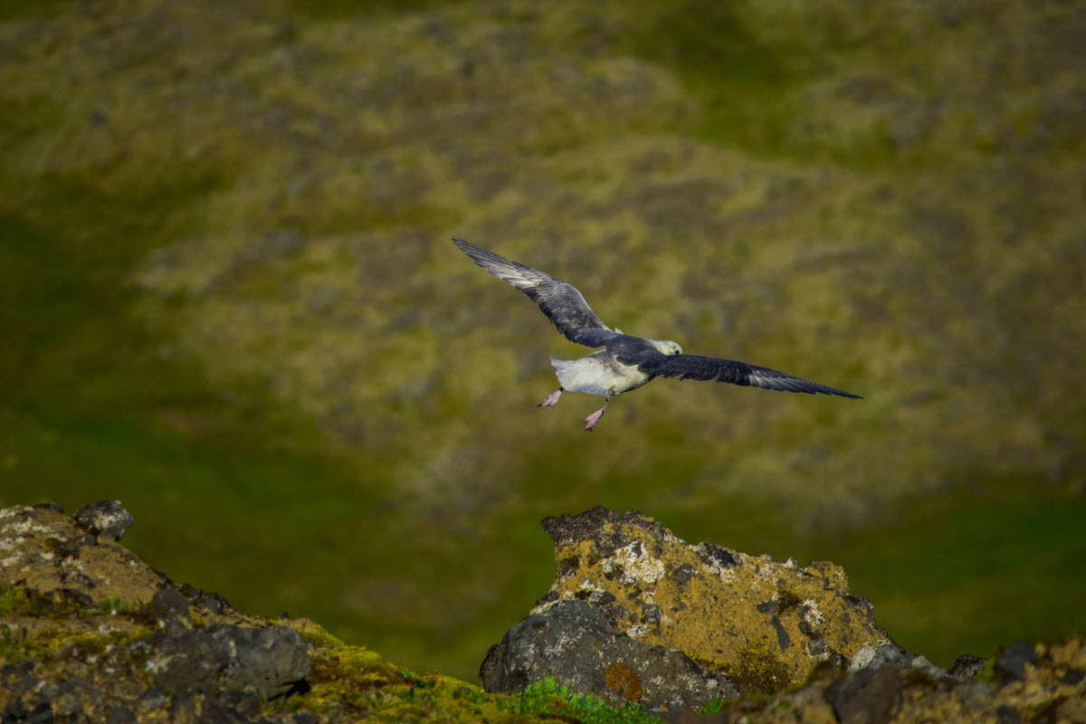 Snaefellsjokull National Park Iceland