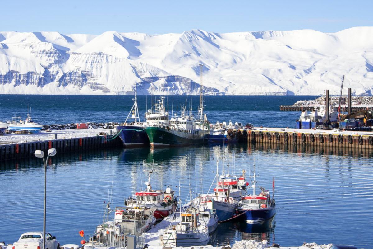 The harbor in Husavik during winter in Iceland