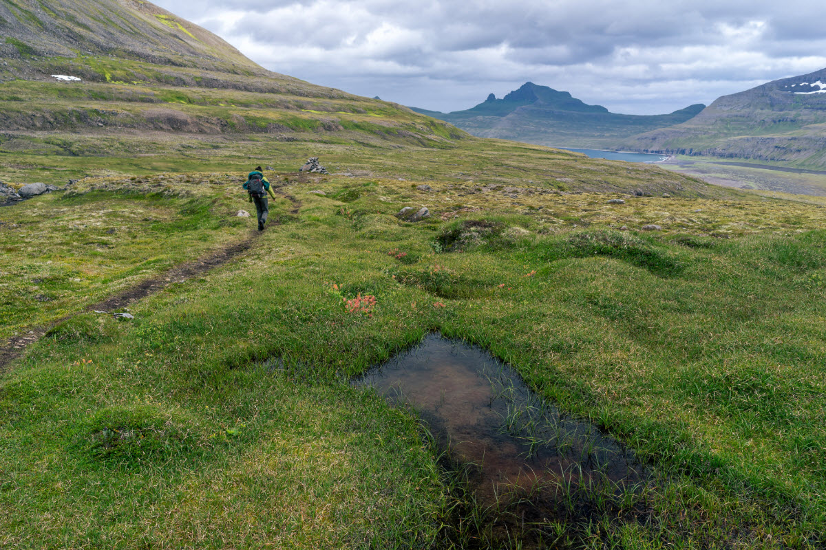 There are many hiking trails in Hornstrandir