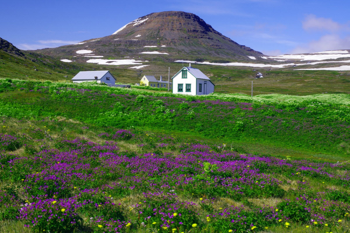 Hesteyri in Hornstrandir in the Westfjords