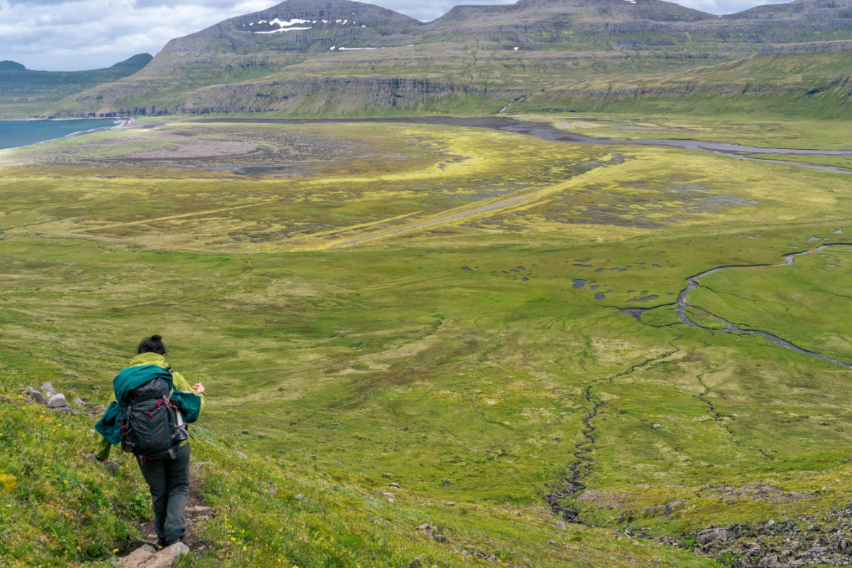 Hornstrandir Nature Reserve