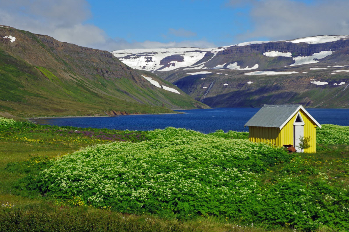 The beautiful landscape of Hornstrandir