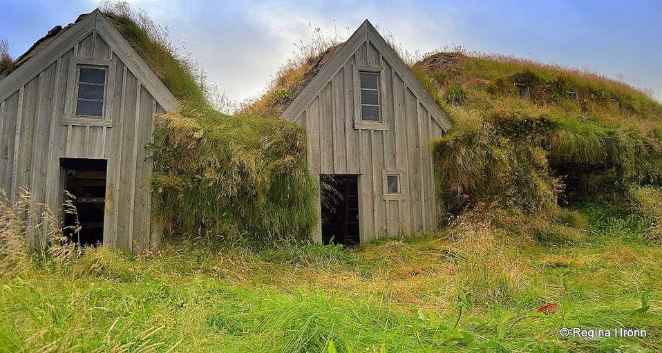 Old farm and green grass