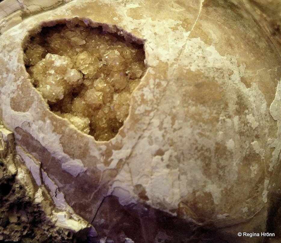 Fossil shell with crystals inside