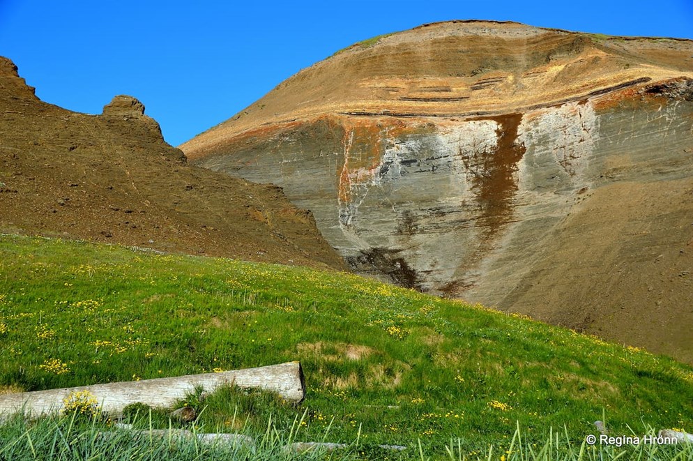 Landscape with green grass