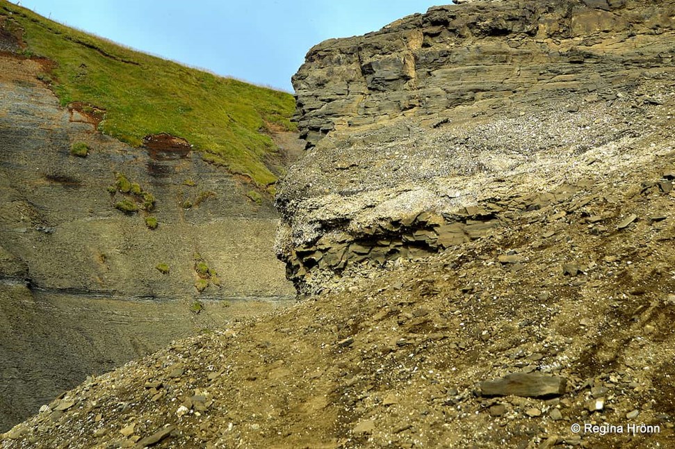 Landscape with fossils