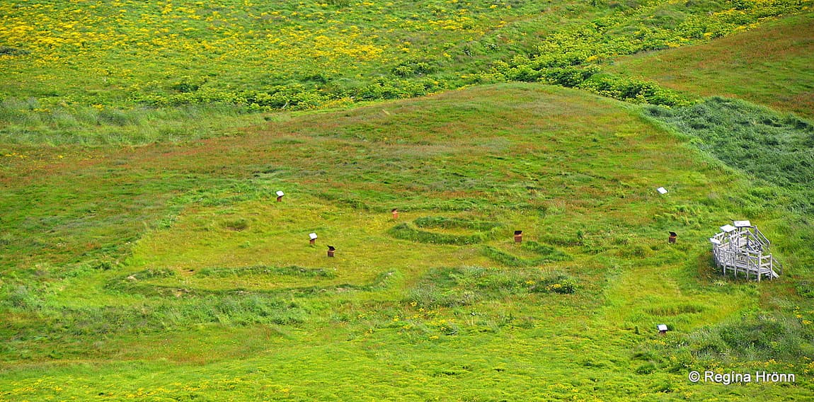 Archaeological site in Vatnsfjörður