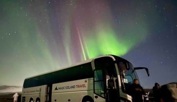 Northern Lights Bus Tour tour in Iceland